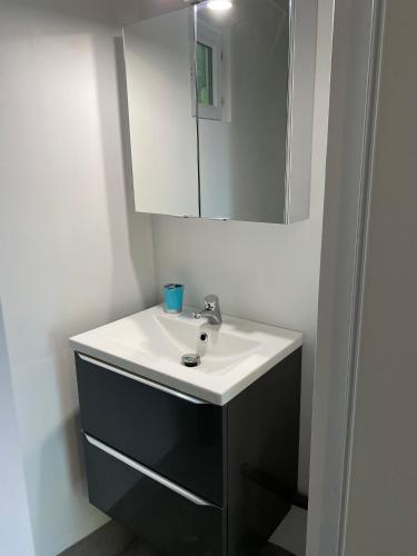 une salle de bain avec un lavabo et un miroir dans l'établissement Jm Vacances Serignan Studio, à Sérignan
