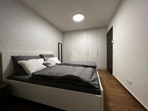 1 dormitorio con 1 cama grande en una habitación en Apartmán U Satoshiho en Olomouc