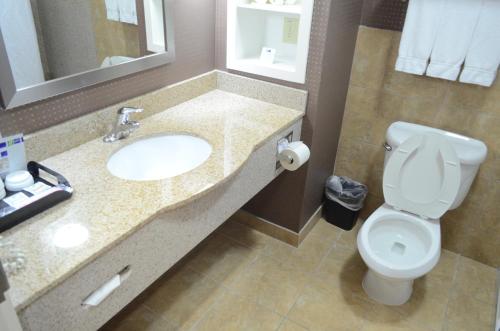 a bathroom with a white toilet and a sink at Holiday Inn Express Hotel & Suites Houston Energy Corridor - West Oaks, an IHG Hotel in Houston