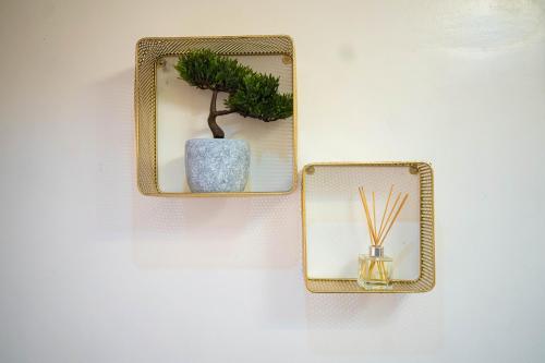 a plant in a vase on a wall with a mirror at Morak Homes - Luxury 4 bed home with PS5, 24hrs electricity, Super fast Wifi, Snooker, Games room - in a secured estate in Abuja
