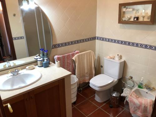 uma casa de banho com um WC branco e um lavatório. em Quinta das Oliveiras em Moimenta da Serra