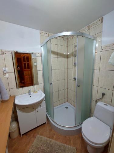 a bathroom with a shower and a toilet and a sink at Domki u Basi in Kluszkowce