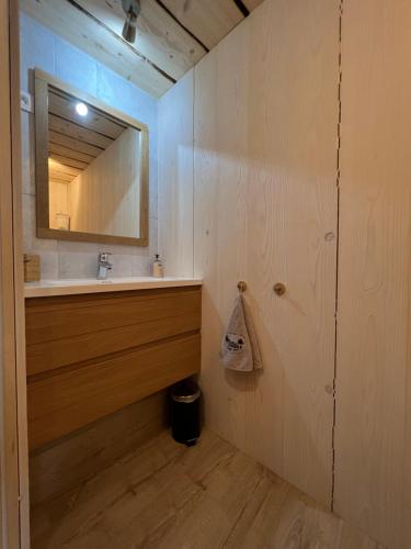 un baño con lavabo y espejo en La remise du Murgé, en Saulxures-sur-Moselotte