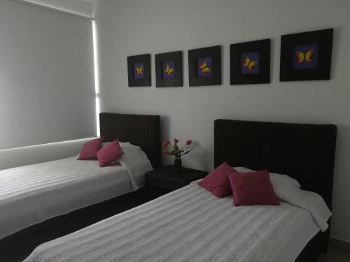 Легло или легла в стая в Terraza Morros