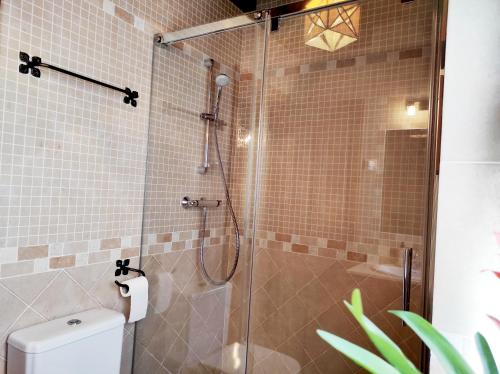 a bathroom with a shower with a toilet at Del Abuelo Casa Rural in Prádena del Rincón