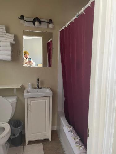 baño con lavabo y cortina de ducha en HOMETOWN INN, en Charles City