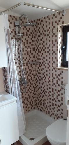 a bathroom with a shower and a toilet at Apartman Miljenka in Pazin