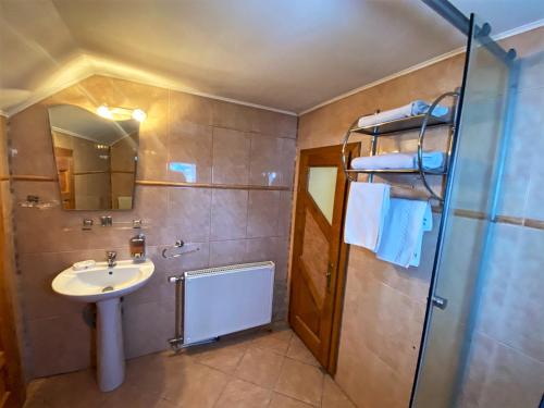 a bathroom with a sink and a shower at Casa din Vale in Moieciu de Sus