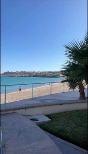 a beach with a palm tree and a fence at Condominio Posada 314 San Carlos in San Carlos