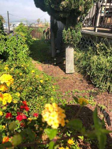 a garden with colorful flowers in a yard at Spacious Guest Suite Amazing Location in San Diego