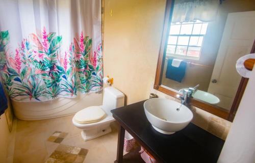 a bathroom with a sink and a toilet with a shower curtain at Fortescue Cherry Blossom Apartments in Saint Philip