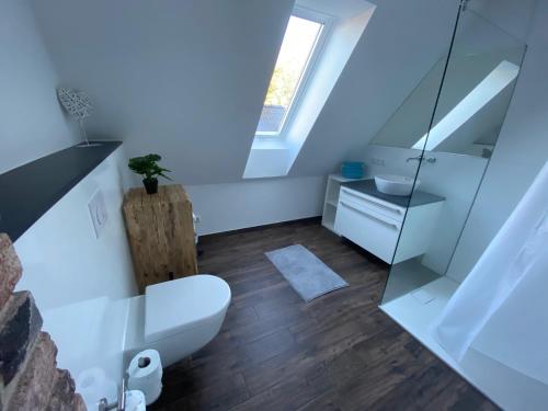 a bathroom with a white toilet and a sink at Gästehaus Roggenhorst - aufwändig saniertes Haus, 200 qm Wohnfläche, 3 Bäder in Lübeck
