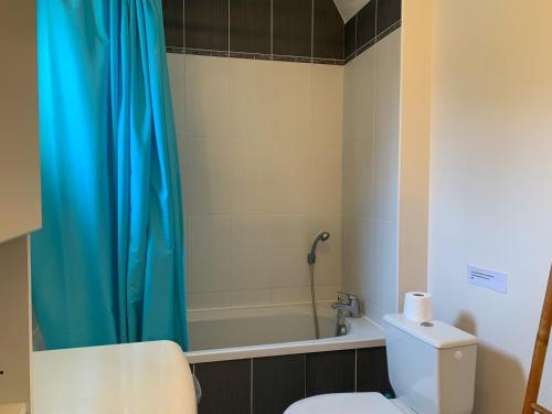 La salle de bains est pourvue de toilettes et d'un rideau de douche bleu. dans l'établissement Le 552 en Baie - Gîte 4 à 7 personnes avec parking, à Saint-Valery-sur-Somme