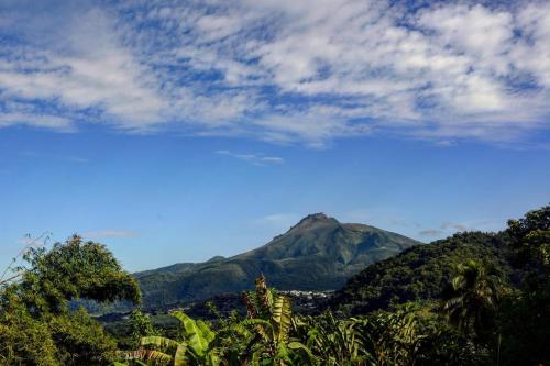 a mountain in the distance with trees and a blue sky at A&J Cottage in Le Morne Rouge