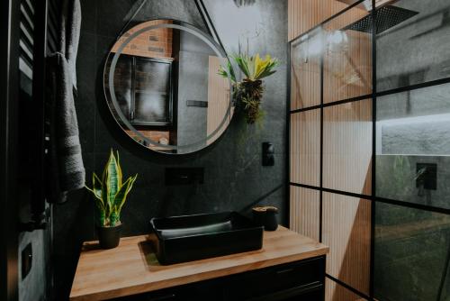 W łazience znajduje się umywalka i lustro. w obiekcie Apartament Loft z Antresolami w mieście Zamość