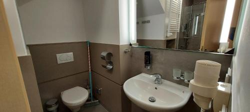 a small bathroom with a sink and a toilet at Wellness apartmány Říčky v Orlických horách in Říčky