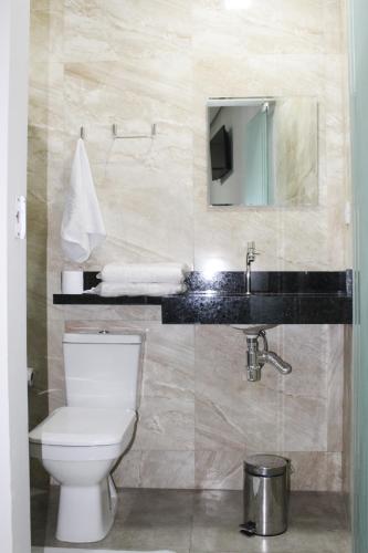 a bathroom with a toilet and a sink and a mirror at Hotel Flor Paulista in São Paulo