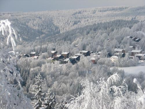 eine Gruppe von Häusern in einem schneebedeckten Wald in der Unterkunft Chata-R Mariánská in Mariánská