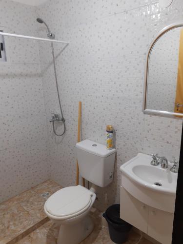 a bathroom with a toilet and a sink at El Palacio in La Punta