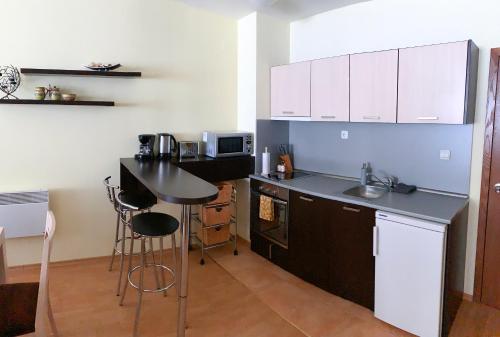 A kitchen or kitchenette at Ski Area 202 apt, The Castle 1, Pamporovo