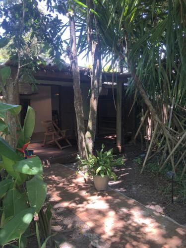 a house in the middle of a forest with trees at Casa Das Águas Trancoso in Trancoso