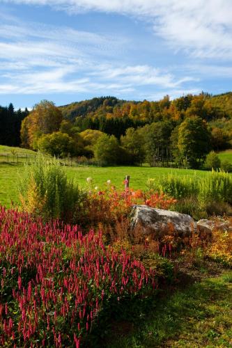 Chambre d'hôtes La Forestière – Photos 3