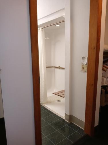 uma casa de banho com uma cabina de duche ao nível do chão e uma cortina de chuveiro em New Martinsville Inn em New Martinsville