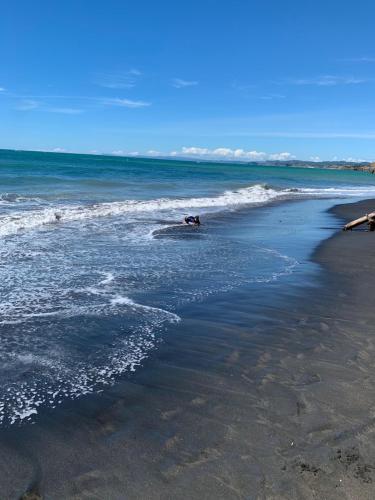 a person swimming in the ocean on a beach at Urenui Beach Bach in Urenui
