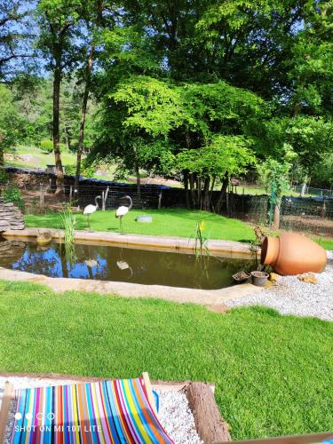 a pond in a park with flamingos in the background at Chez Pascaline in Sarliac-sur-lʼIsle