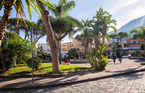 een geplaveide straat met palmbomen en gebouwen bij Lily's Home in Ischia