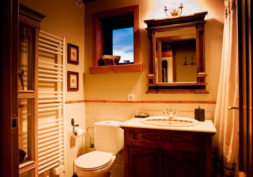 a bathroom with a toilet and a sink and a mirror at Casa 4 Habitaciones en Osseja in Osséja