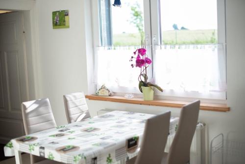 ein Esszimmer mit einem Tisch, Stühlen und einem Fenster in der Unterkunft Ferienhaus Brockenblick in Hüttenrode