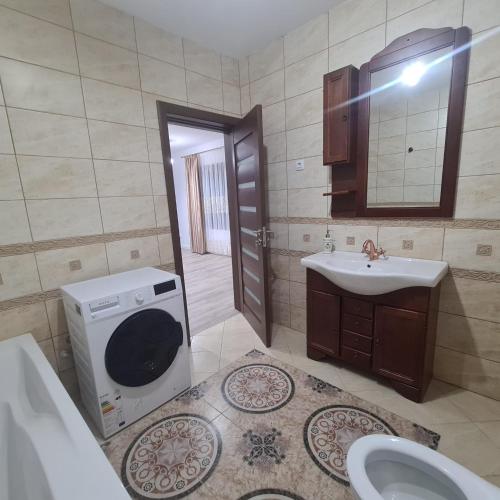 a bathroom with a sink and a washing machine at Casa Ardeluta in Ardeluţa