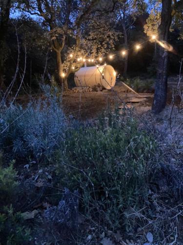 a white tank sitting in the woods at night at Domaine La Tour - SPA - Jacuzzi - Sauna - Massage - 4 SAISONS - Piscine Chauffée Toute l'année - Heated POOL - 800m City Centre Nyons in Nyons