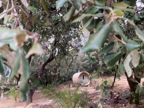 Animales en el bed and breakfast o alrededores