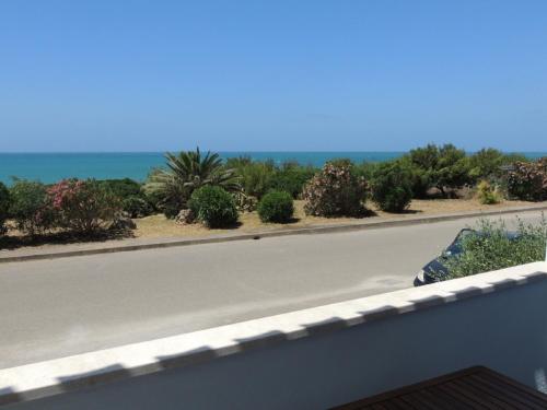 Táj Show holiday homes közelében