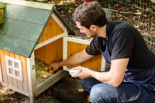 a man is sitting in front of a bird house at Hotel Mercure Château de Fontainebleau in Fontainebleau
