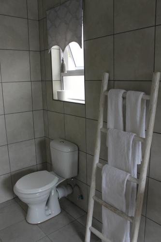 a bathroom with a toilet and a mirror and towels at Berry Lane Guesthouse in Kroonstad