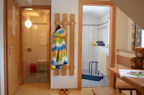 baño con ducha, aseo y puerta en Apartment Mauser-Mühltaler, en Mauterndorf