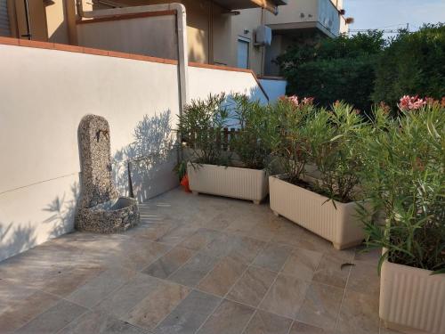 een patio met potplanten aan de zijkant van een gebouw bij IL QUADRIFOGLIO Mare e Relax in Tortoreto Lido