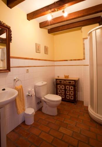 a bathroom with a toilet and a sink at APARTAMENTOS LA COTERA sc in Cambarco