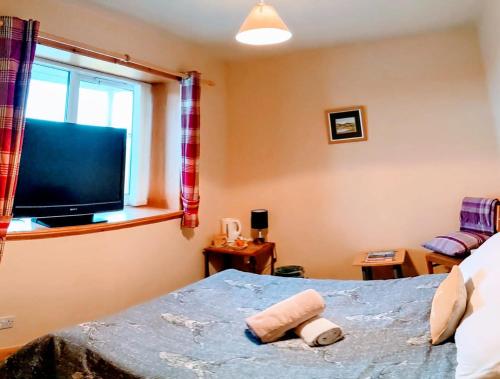 a bedroom with a bed and a television at Hamnavoe B&B in John O Groats