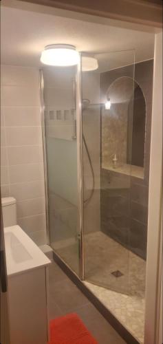 une douche avec une porte vitrée dans une salle de bain dans l'établissement 2 pièces terrasse plein coeur de Strasbourg, à Strasbourg
