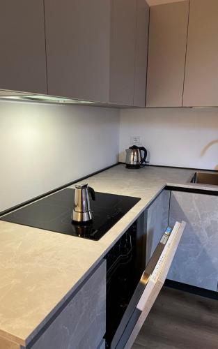 a kitchen with two tea pots on a stove at Antico Albergo Stella d'Italia in Folgaria