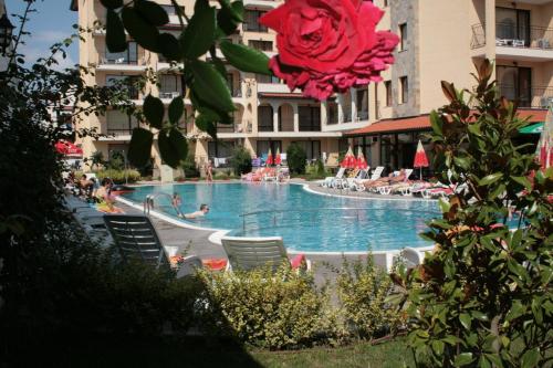 a large swimming pool with chairs and a red rose at Apartment Tourist Complex Rose Village in Sunny Beach