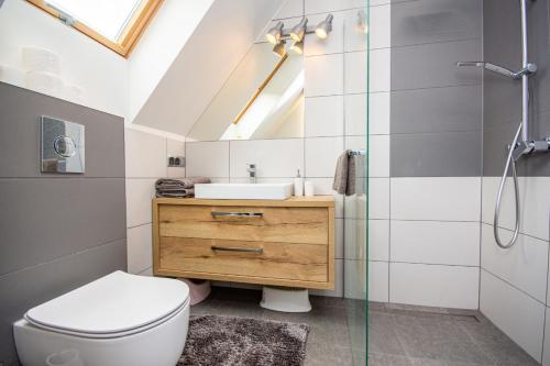 a bathroom with a toilet and a sink and a shower at Apartament DaKar in Małe Ciche