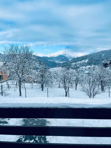 Gambar di galeri bagi Vila Deluț di Borşa