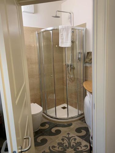 a bathroom with a shower and a toilet at Locanda Dell'Oleificio in Mezzane di Sotto