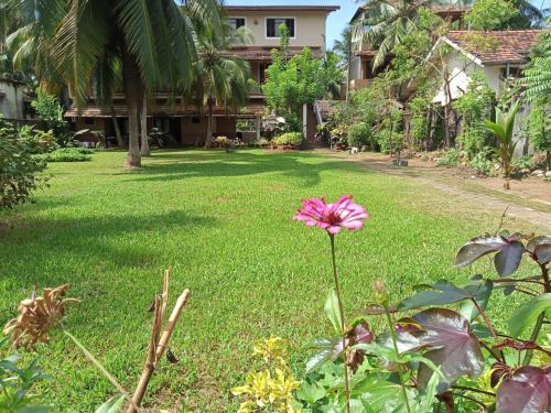 a pink flower in the yard of a house at Candle House in Kalutara North