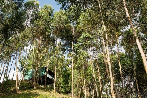 a van in the middle of a forest of trees at Casa Container FIGO em meio a natureza na Serra Gaúcha in Flores da Cunha